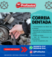 CORREIA DENTADA – NOVA ARTE